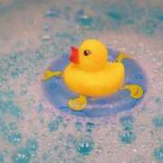 ヒメ日記 2025/11/09 21:00 投稿 さくら 深海魚