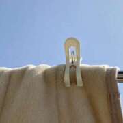 ヒメ日記 2025/11/21 21:00 投稿 さくら 深海魚