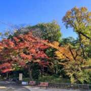 ヒメ日記 2025/11/30 21:00 投稿 さくら 深海魚