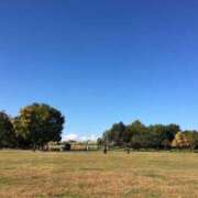 ヒメ日記 2025/12/01 20:00 投稿 さくら 深海魚