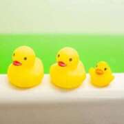 ヒメ日記 2026/01/06 20:30 投稿 さくら 深海魚