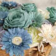 ヒメ日記 2026/01/21 21:00 投稿 さくら 深海魚