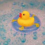 ヒメ日記 2026/02/18 21:00 投稿 さくら 深海魚