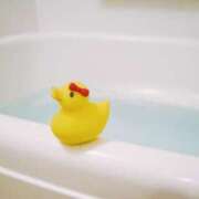 ヒメ日記 2026/02/28 21:01 投稿 さくら 深海魚