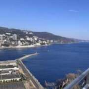 ヒメ日記 2026/03/17 12:00 投稿 さくら 深海魚