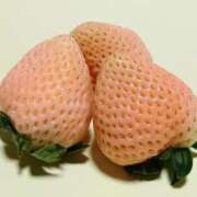 ヒメ日記 2026/03/28 21:00 投稿 さくら 深海魚