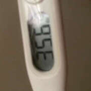 ヒメ日記 2025/06/28 15:18 投稿 新木　みづき つくば風俗エキスプレス   ヌキ坂46