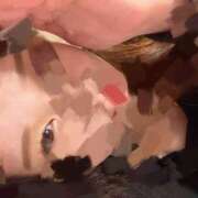 ヒメ日記 2026/02/23 01:16 投稿 新木　みづき つくば風俗エキスプレス   ヌキ坂46