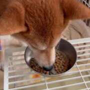 ヒメ日記 2024/12/18 22:31 投稿 ゆり CLUB PIAA