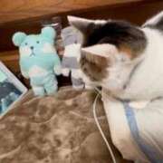 ヒメ日記 2025/01/28 21:44 投稿 ゆり CLUB PIAA