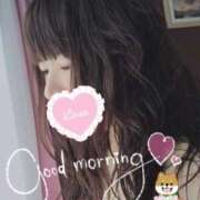 ヒメ日記 2025/01/30 07:15 投稿 ゆり CLUB PIAA