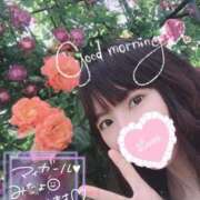 ヒメ日記 2025/02/07 07:26 投稿 ゆり CLUB PIAA