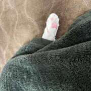 ヒメ日記 2025/02/12 21:16 投稿 ゆり CLUB PIAA