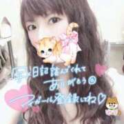 ヒメ日記 2025/02/13 20:26 投稿 ゆり CLUB PIAA