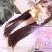 ヒメ日記 2025/02/21 07:30 投稿 ゆり CLUB PIAA