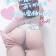 ヒメ日記 2025/02/25 07:27 投稿 ゆり CLUB PIAA