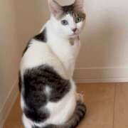 ヒメ日記 2025/02/25 19:15 投稿 ゆり CLUB PIAA