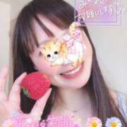 ヒメ日記 2025/02/26 07:26 投稿 ゆり CLUB PIAA