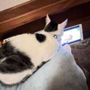 ヒメ日記 2025/03/18 22:15 投稿 ゆり CLUB PIAA