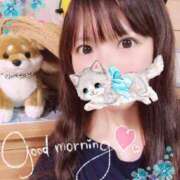 ヒメ日記 2025/04/14 07:30 投稿 ゆり CLUB PIAA