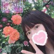 ヒメ日記 2025/05/07 07:15 投稿 ゆり CLUB PIAA