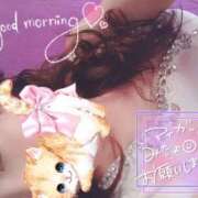 ヒメ日記 2025/05/17 07:15 投稿 ゆり CLUB PIAA