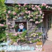 ヒメ日記 2025/06/19 07:15 投稿 ゆり CLUB PIAA