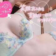 ヒメ日記 2025/06/21 07:15 投稿 ゆり CLUB PIAA