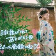 ヒメ日記 2025/07/29 07:15 投稿 ゆり CLUB PIAA