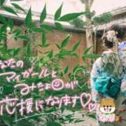 ヒメ日記 2025/08/18 07:15 投稿 ゆり CLUB PIAA