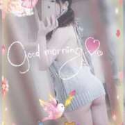 ヒメ日記 2025/09/13 07:15 投稿 ゆり CLUB PIAA