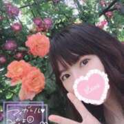 ヒメ日記 2025/09/23 07:15 投稿 ゆり CLUB PIAA