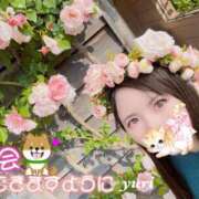 ヒメ日記 2025/10/19 07:15 投稿 ゆり CLUB PIAA