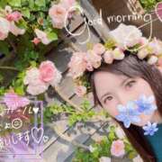 ヒメ日記 2026/01/28 07:15 投稿 ゆり CLUB PIAA