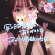 ヒメ日記 2026/01/30 07:15 投稿 ゆり CLUB PIAA