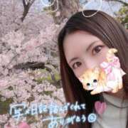 ヒメ日記 2026/04/11 07:15 投稿 ゆり CLUB PIAA