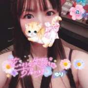 ヒメ日記 2026/04/24 07:15 投稿 ゆり CLUB PIAA