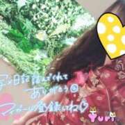 ヒメ日記 2026/06/29 07:34 投稿 ゆり CLUB PIAA