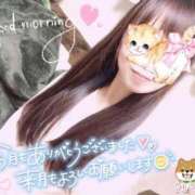 ヒメ日記 2026/06/30 07:22 投稿 ゆり CLUB PIAA