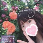 ヒメ日記 2026/10/13 07:34 投稿 ゆり CLUB PIAA
