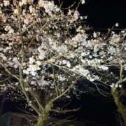 ヒメ日記 2025/03/31 09:55 投稿 のん 宮崎ちゃんこ都城店