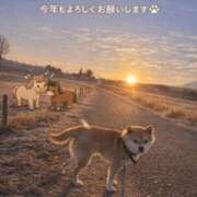 ヒメ日記 2026/01/01 21:25 投稿 のん 宮崎ちゃんこ都城店