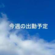 ヒメ日記 2023/10/16 14:35 投稿 ひかる ぷよステーション 高崎店