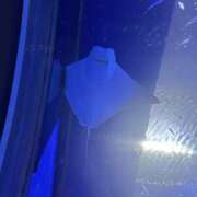 ヒメ日記 2025/03/23 18:33 投稿 りり ちゃんこ東大阪 布施・長田店