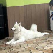 ヒメ日記 2025/07/03 18:52 投稿 りり ちゃんこ東大阪 布施・長田店