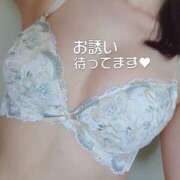 ヒメ日記 2024/12/22 21:21 投稿 みほ しろうさぎ