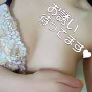 ヒメ日記 2025/03/12 19:03 投稿 みほ しろうさぎ