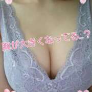 ヒメ日記 2025/04/01 12:03 投稿 みほ しろうさぎ