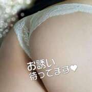 ヒメ日記 2025/04/14 18:03 投稿 みほ しろうさぎ