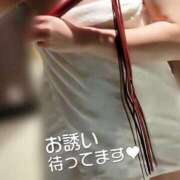 ヒメ日記 2025/05/14 18:43 投稿 みほ しろうさぎ